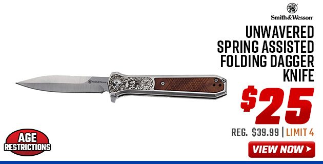 Smith & Wesson Unwavered Spring Assisted Folding Dagger Knife