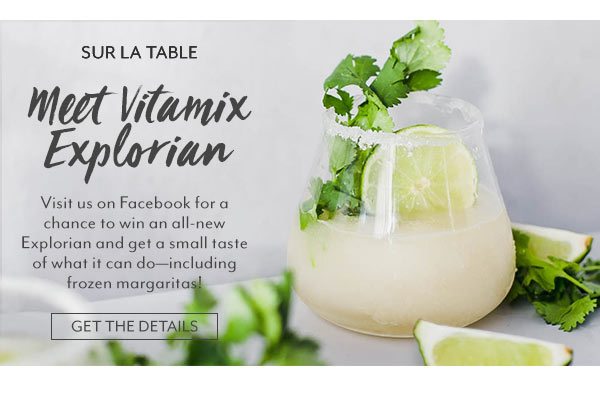 Vitamix Explorian