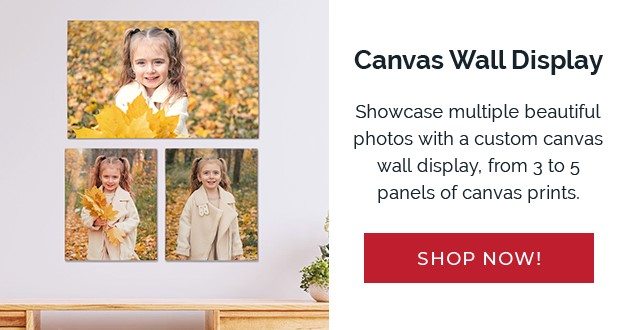 Canvas Wall Display