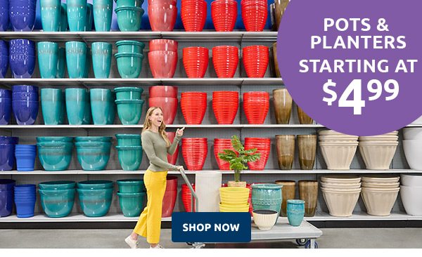 Pots and planters starting at $4.99. Shop now.
