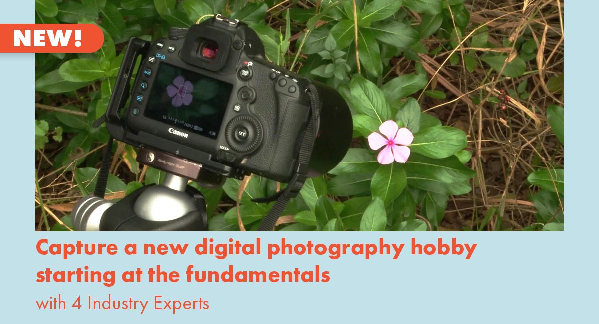 NEW! Capture a new digital photography hobby starting at the fundamentals With 4 Industry Experts