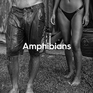 Boardshort 2 - Amphibians