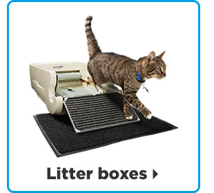 Litter boxes >
