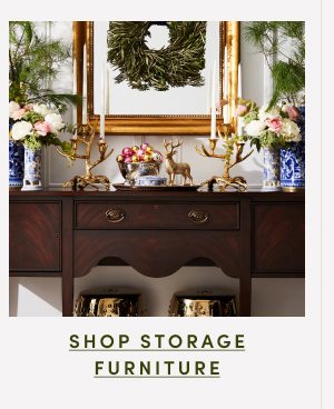 Shop Storage Furniture