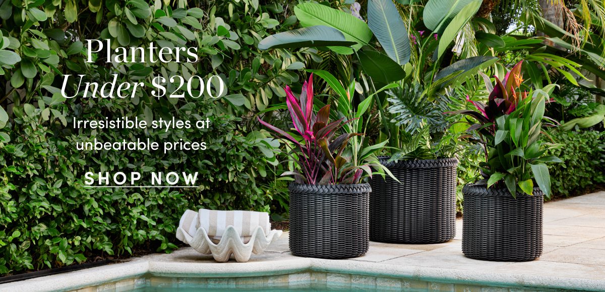 Planters Under $200