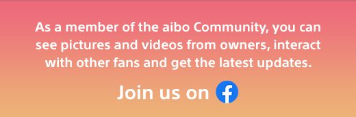 As a member of the aibo Community, you can see pictures and videos from owners, interact with other fans and get the latest updates. Join us on Facebook