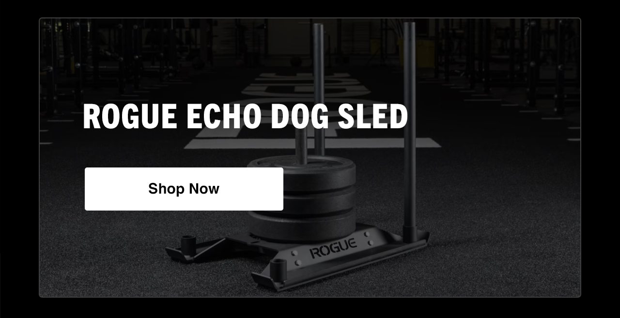 Rogue Echo Dog Sled