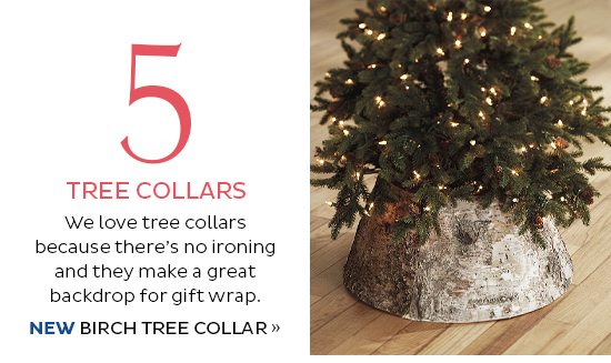 NEW Birch Tree Collar