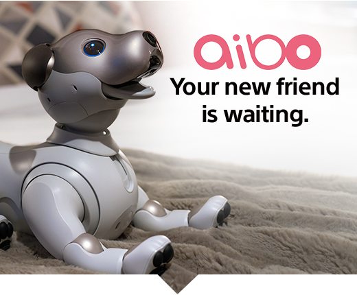 aibo is here—meet your new robotic companion