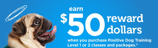 Earn $50 reward dollars when you purchase Positive Dog Training Level 1 or 2 classes and packages.* *Offer valid 1/1-1/7/18. Click here for full details. Dogs only. Current vaccinations required. Classes can be scheduled for a later date. Learn more. 