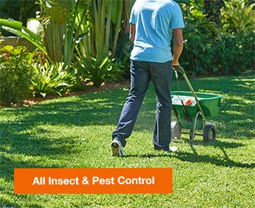 ALL INSECT & PEST CONTROL