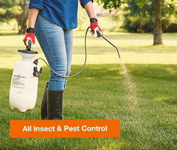 ALL INSECT & PEST CONTROL