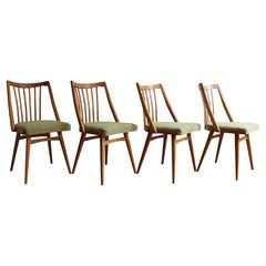 Dining Room Chairs