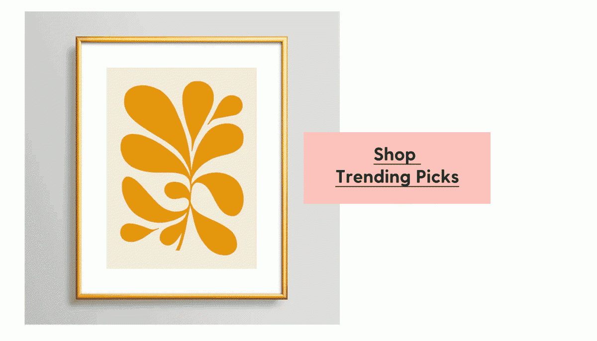 Shop Trending Picks