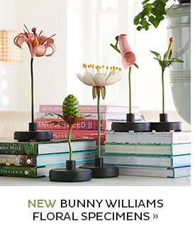 Bunny Williams Floral Specimens