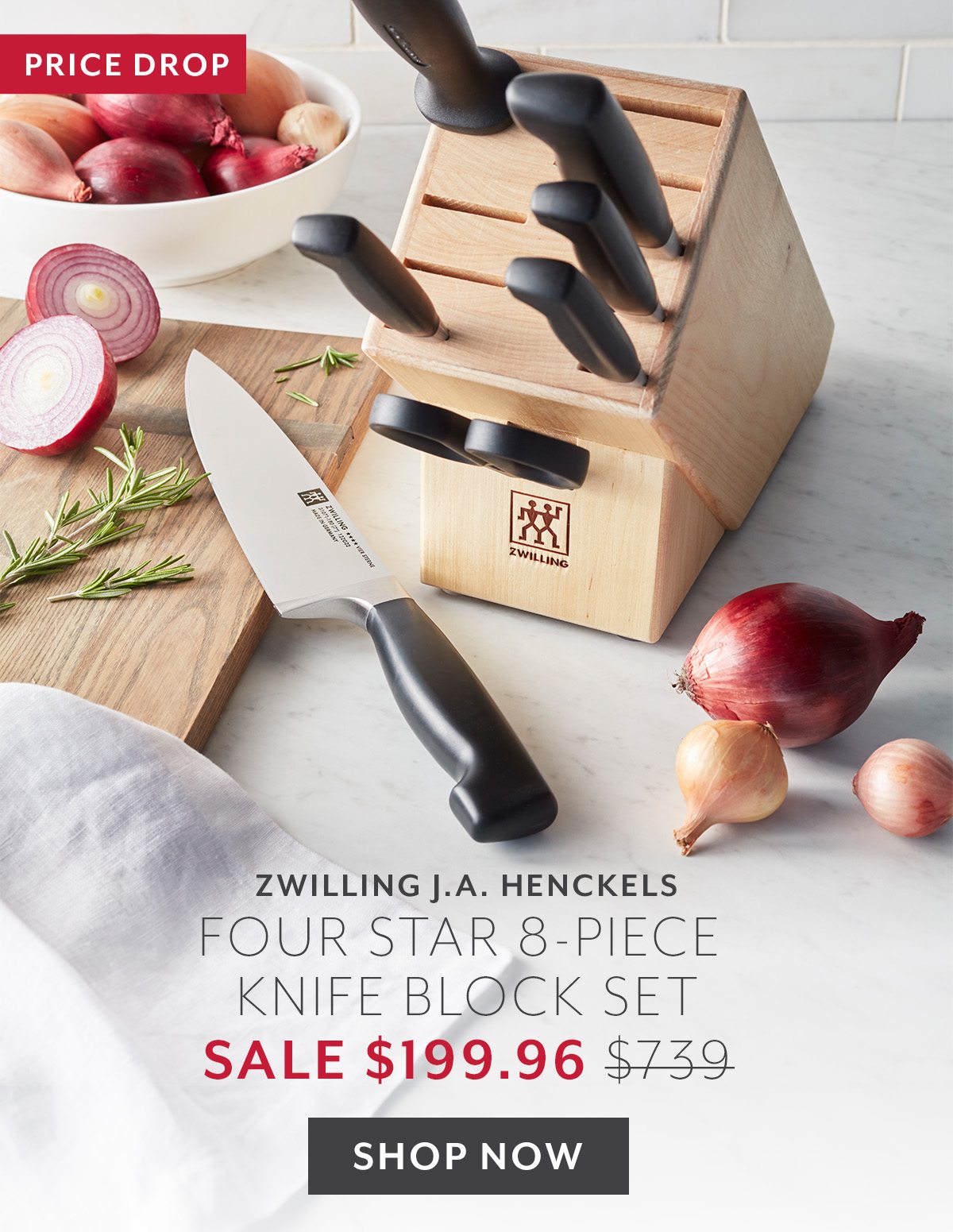 ZWILLING BLOCK SET 