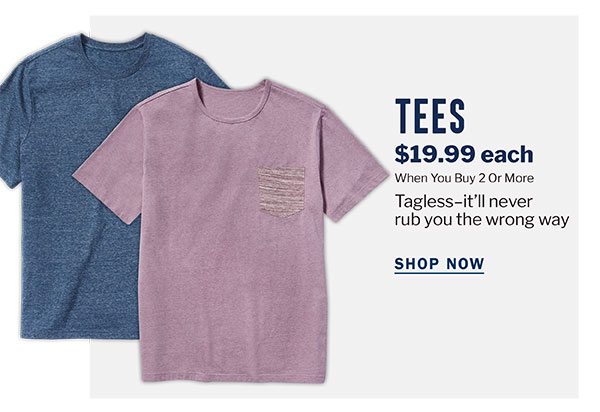 TEES | $19.99 EACH WHEN YOU BUY 2 OR MORE | TAGLESS - IT'LL NEVER RUB YOU THE WRONG WAY | SHOP NOW