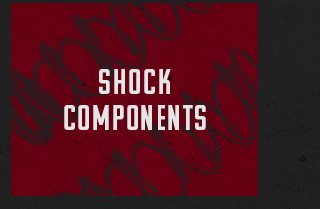 Shock components 