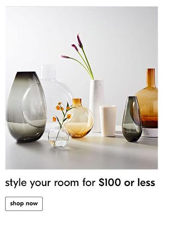 style your room for $100 or less