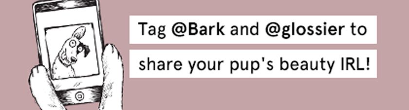 Tag Bark and Glossier
