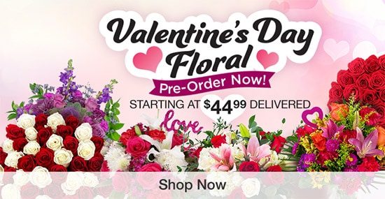 Valentine's Day Floral. Pre-Order Now. Starting at $44.99 Delivered. Shop Now