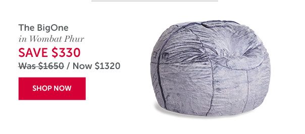 The BigOne | SAVE $330 | SHOP NOW >>