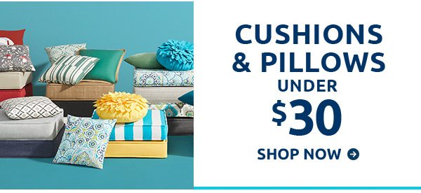 Cushions and Pillows under $30. Shop now.