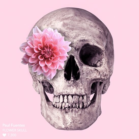 Paul Fuentes Flower Skull