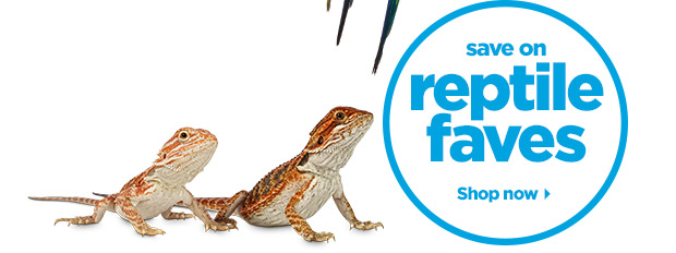 Save on reptile faves. Shop now.