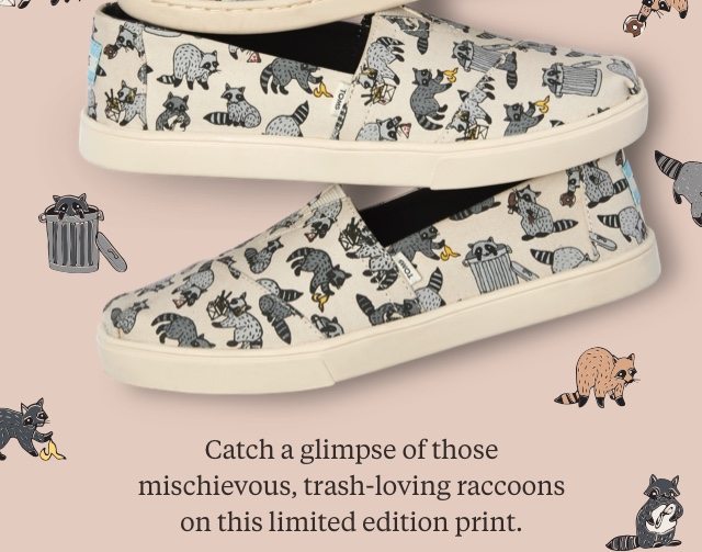 Natural Raccoon Print Women's Cupsole Alpargatas