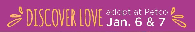 Discover Love at Petco