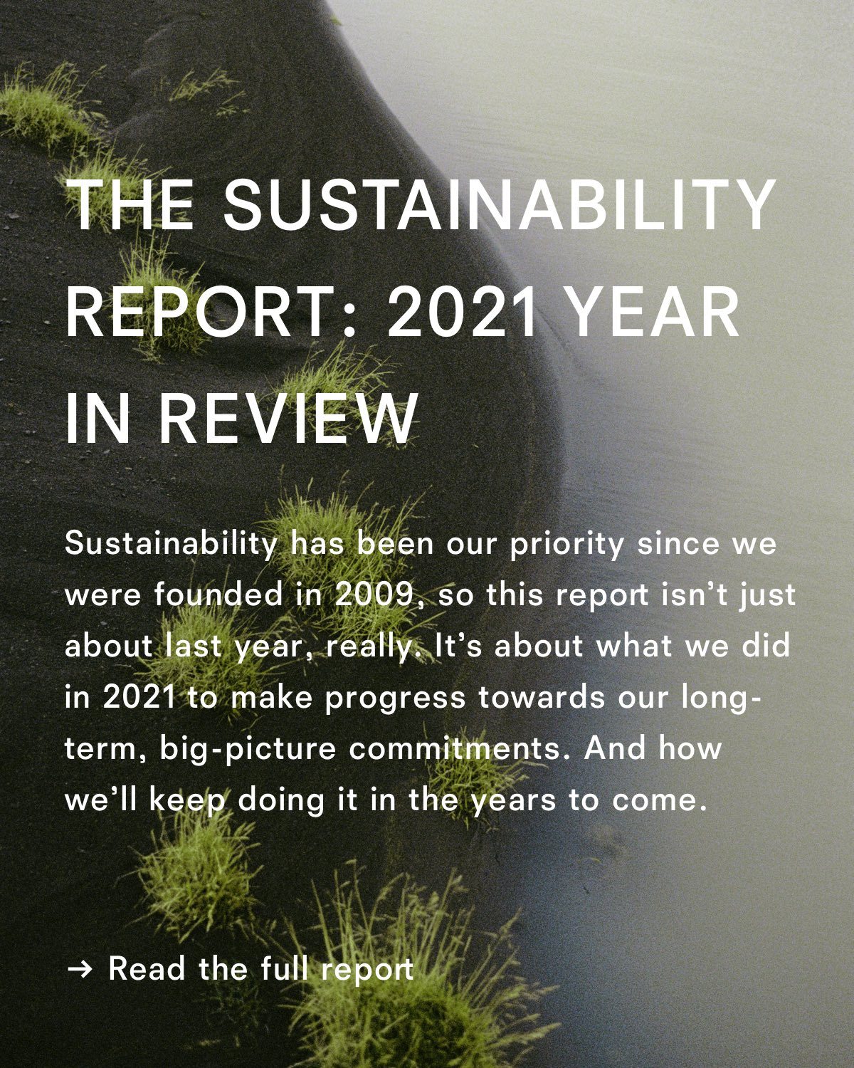 The Sustainability Report