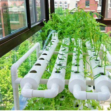 Hydroponic Site Grow Planting System