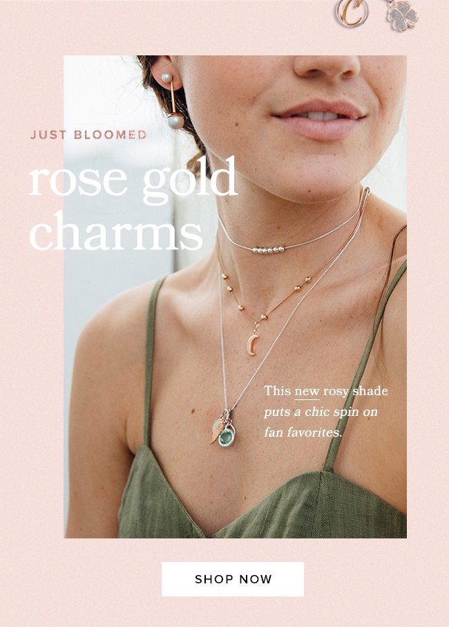 Shop necklaces and necklace charms in our new Rose Gold finish.