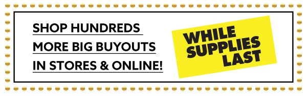 Shop hundreds more big buyouts in stores & online!