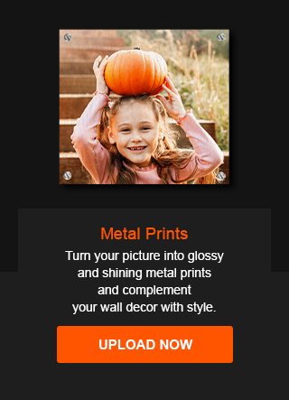 Metal Prints