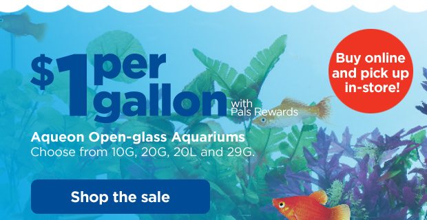 Buy online and pick up in-store! $1 per gallon with Pals Rewards. Aqueon Open-glass Aquariums. Choose from 10G, 20G, 20L and 29G. Shop the sale.