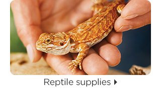 Reptile supplies.