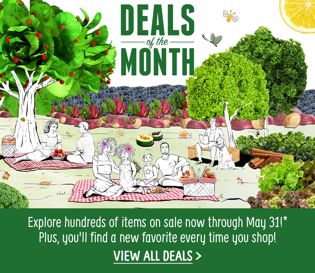 Deals of the Month