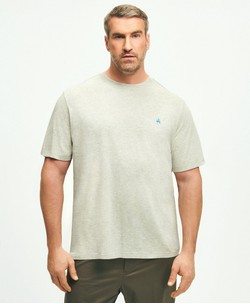 Big & Tall Supima® Cotton T-Shirt