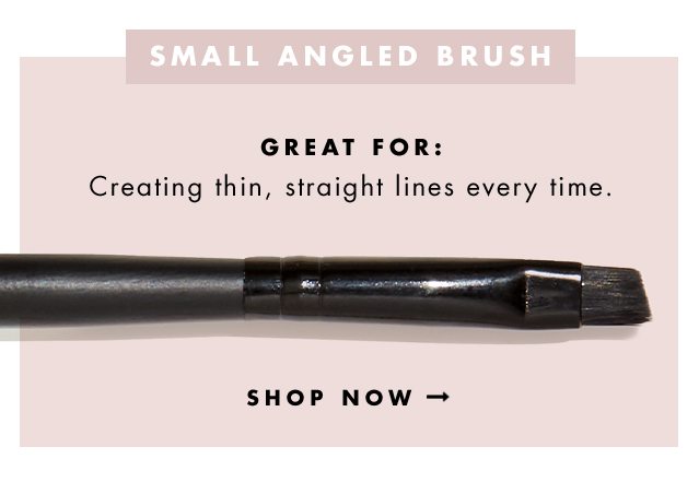 Small Angled Brush