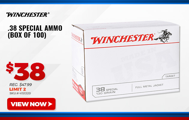 Winchester .38 Special Ammo (Box of 100)