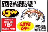  12 Pc Assorted Length Elastic Stretch Cords 