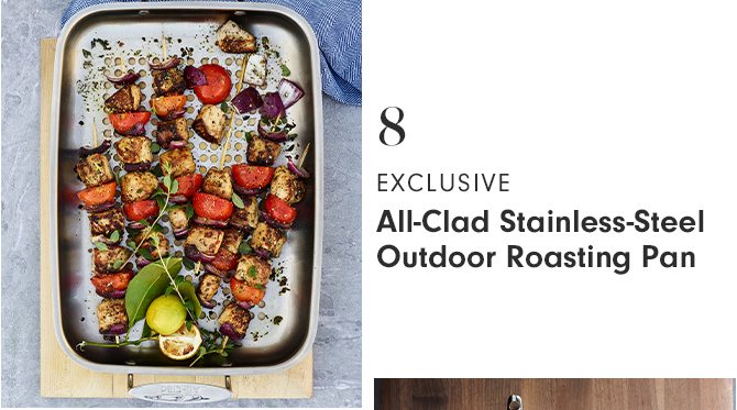 8 - EXCLUSIVE - All-Clad Stainless-Steel Outdoor Roasting Pan