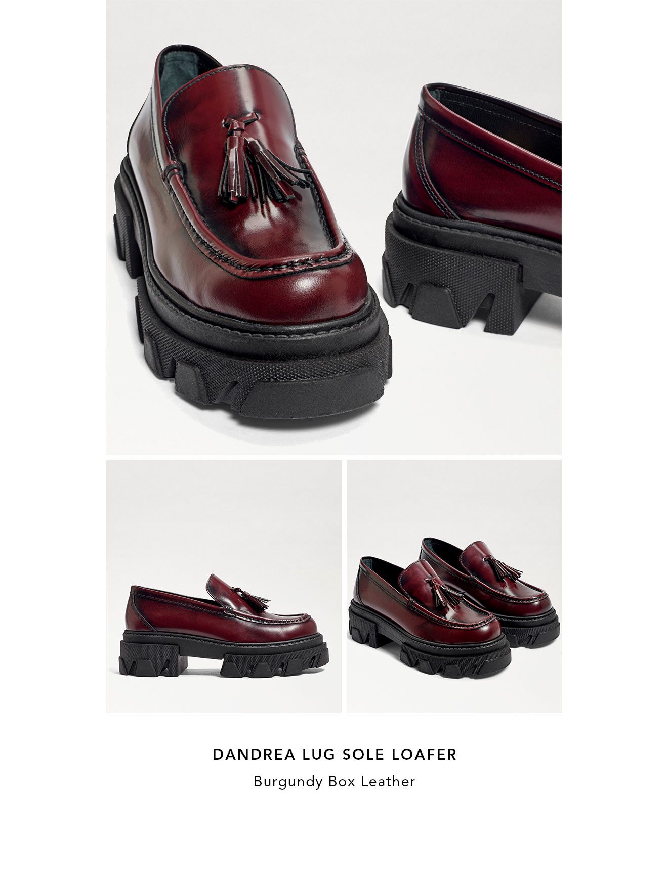 sam edelman dandrea loafer