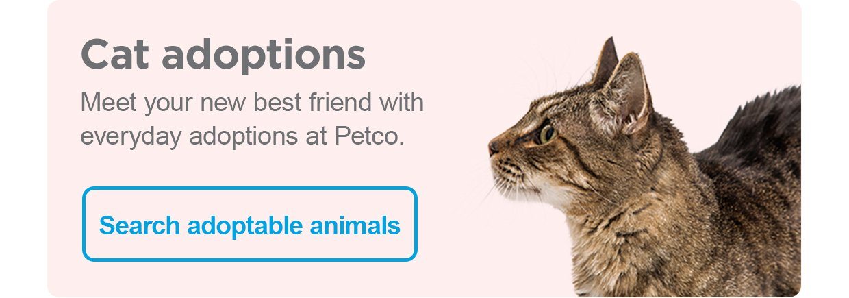 Cat adoptions. Meet your new best friend with everyday adoptions at Petco. Search adoptable animals.