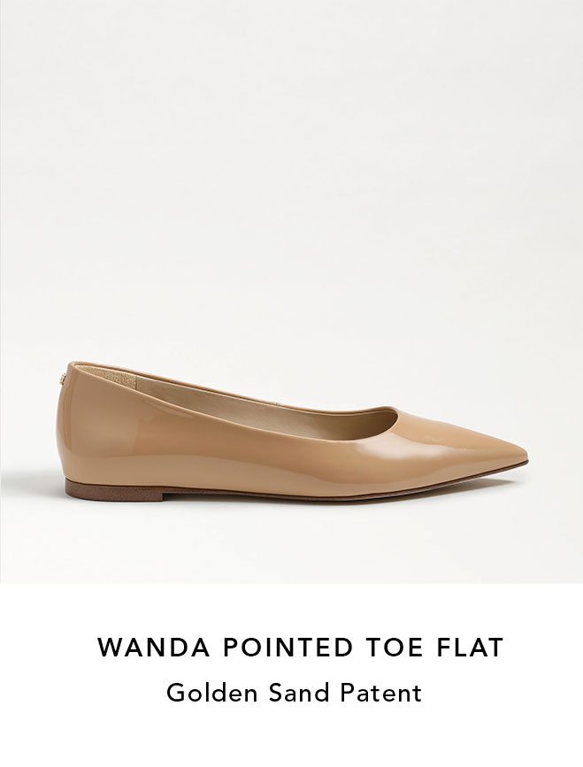 Wanda Pointed Toe Flat 