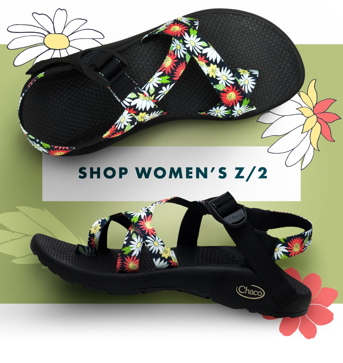 Daisy chacos new arrivals