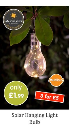 Solar Hanging Light Bulb