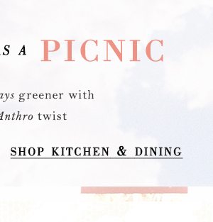 Shop kitchen and dining.